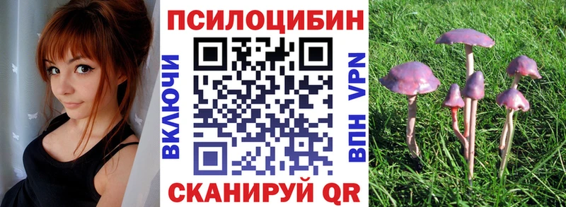 Псилоцибиновые грибы прущие грибы  Томск 
