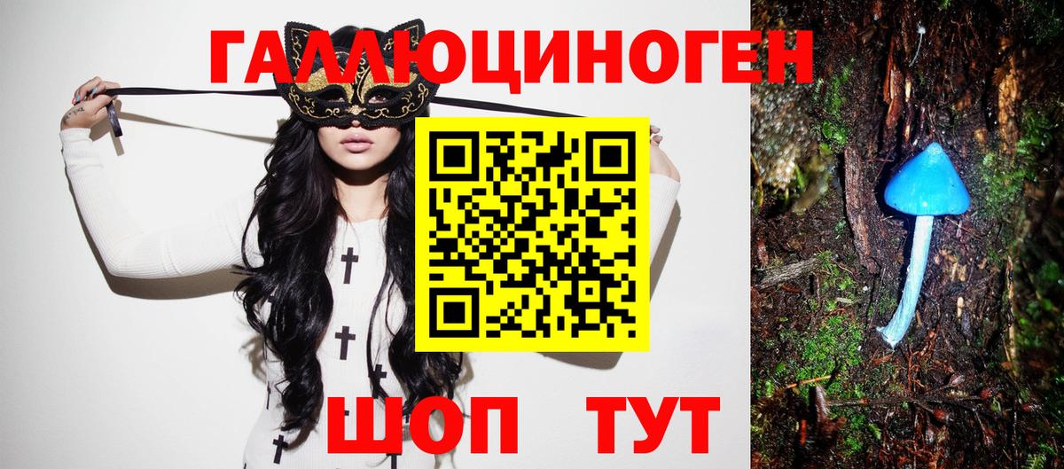 Галлюциногенные грибы Psilocybe  Томск 