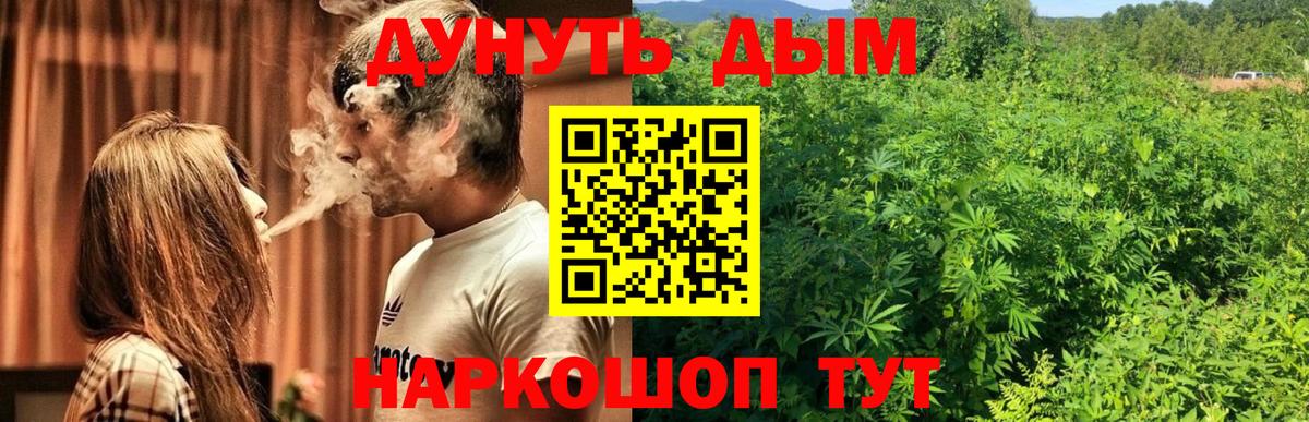 Конопля AK-47 Томск